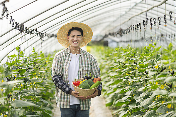 포토 JPG 주간 남자 가지 피망 파프리카 실내 한명 미소 들기 상반신 20대 성인 앞모습 아웃포커스 농작물 바구니 농사 당근 한국인 가을 농촌 농부 브로콜리 밀짚모자 귀농 비닐하우스 애호박 전원생활 오이밭 성인남자한명만 로컬푸드 국내포토 여주시 자연요소 직업 모자_잡화 1 계절 뷰포인트 밭 농업 채소 모션 호박 뿌리채소 촬영기법 표정 사람 동양인 청년 내부 생활 농산물 시골 경기도 남자한명만 성인남자만 파일형식