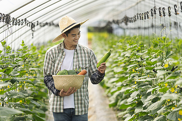 포토 JPG 주간 응시 남자 실내 한명 미소 들기 상반신 20대 성인 옆모습 아웃포커스 농작물 바구니 농사 당근 한국인 가을 농촌 농부 브로콜리 밀짚모자 귀농 비닐하우스 애호박 전원생활 오이밭 성인남자한명만 로컬푸드 국내포토 여주시 자연요소 직업 모자_잡화 1 시선 계절 뷰포인트 밭 농업 채소 모션 호박 뿌리채소 촬영기법 표정 사람 동양인 청년 내부 생활 농산물 시골 경기도 남자한명만 성인남자만 파일형식