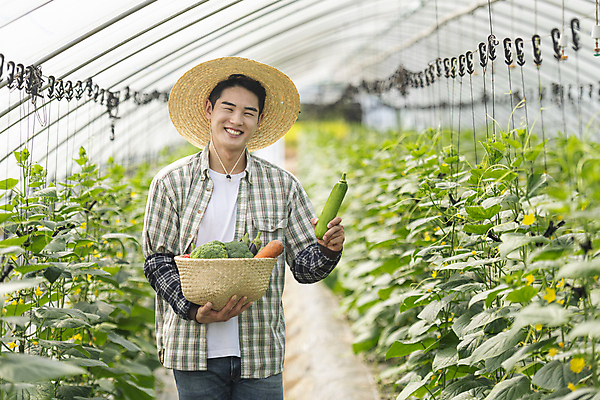 포토 JPG 주간 남자 실내 한명 미소 들기 상반신 20대 성인 앞모습 아웃포커스 농작물 바구니 농사 당근 한국인 가을 농촌 농부 브로콜리 밀짚모자 귀농 비닐하우스 애호박 전원생활 오이밭 성인남자한명만 로컬푸드 국내포토 여주시 자연요소 직업 모자_잡화 1 계절 뷰포인트 밭 농업 채소 모션 호박 뿌리채소 촬영기법 표정 사람 동양인 청년 내부 생활 농산물 시골 경기도 남자한명만 성인남자만 파일형식