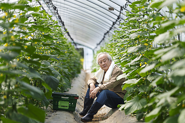 포토 JPG 주간 전신 응시 노년 남자 실내 한명 앉기 옆모습 아웃포커스 바구니 농사 한국인 수확 가을 농촌 농부 소프트포커스 걱정 귀농 70대 비닐하우스 전원생활 오이밭 노인남자한명만 국내포토 여주시 자연요소 직업 1 시선 계절 감정 뷰포인트 밭 농업 모션 촬영기법 사람 동양인 성인 내부 생활 시골 경기도 남자한명만 노인남자만 파일형식
