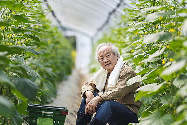 포토 JPG 주간 응시 노년 남자 실내 한명 앉기 상반신 옆모습 아웃포커스 바구니 농사 한국인 수확 가을 농촌 찡그림 농부 소프트포커스 걱정 귀농 70대 비닐하우스 전원생활 오이밭 노인남자한명만 국내포토 여주시 자연요소 직업 1 시선 계절 감정 뷰포인트 밭 농업 모션 촬영기법 표정 사람 동양인 성인 내부 생활 시골 경기도 남자한명만 노인남자만 파일형식