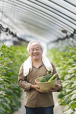 포토 JPG 주간 응시 노년 남자 가지 실내 한명 웃음 들기 상반신 앞모습 아웃포커스 농작물 바구니 농사 당근 한국인 가을 농촌 농부 브로콜리 귀농 70대 비닐하우스 애호박 전원생활 오이밭 노인남자한명만 로컬푸드 국내포토 여주시 자연요소 직업 1 시선 계절 뷰포인트 밭 농업 채소 모션 호박 뿌리채소 촬영기법 표정 사람 동양인 성인 내부 생활 농산물 시골 경기도 남자한명만 노인남자만 파일형식