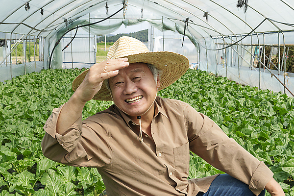 포토 JPG 주간 노년 남자 밭 실내 한명 웃음 앉기 손짓 상반신 앞모습 농사 한국인 수확 가을 농촌 농부 근대 밀짚모자 귀농 70대 비닐하우스 전원생활 노인남자한명만 국내포토 여주시 자연요소 직업 모자_잡화 1 계절 뷰포인트 농업 채소 모션 표정 사람 동양인 성인 내부 생활 시골 경기도 남자한명만 노인남자만 파일형식