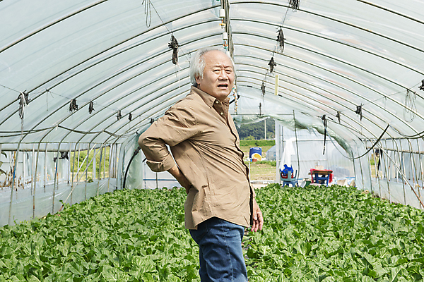 포토 JPG 주간 응시 노년 남자 밭 실내 한명 상반신 옆모습 한국인 가을 농촌 뒤돌아보기 찡그림 농부 근대 귀농 70대 비닐하우스 허리디스크 전원생활 허리통증 손짚기 노인남자한명만 국내포토 여주시 자연요소 직업 1 시선 계절 뷰포인트 농업 채소 모션 표정 사람 동양인 손짓 성인 내부 생활 고통 시골 디스크_질병 경기도 남자한명만 노인남자만 파일형식