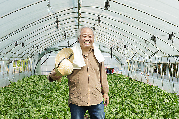 포토 JPG 주간 응시 노년 남자 밭 휴식 실내 한명 미소 들기 상반신 앞모습 수건 농사 한국인 가을 농촌 농부 근대 밀짚모자 귀농 70대 비닐하우스 전원생활 노인남자한명만 국내포토 여주시 자연요소 직업 모자_잡화 1 시선 계절 뷰포인트 컨셉 농업 채소 모션 표정 사람 동양인 성인 내부 생활 위생용품 시골 경기도 남자한명만 노인남자만 파일형식