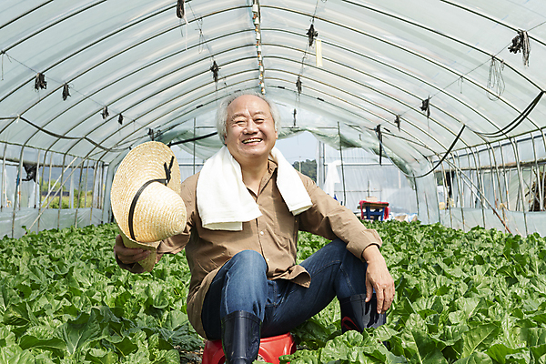 포토 JPG 주간 응시 노년 남자 밭 휴식 실내 한명 미소 들기 앉기 상반신 앞모습 수건 농사 한국인 가을 농촌 농부 근대 밀짚모자 귀농 70대 비닐하우스 전원생활 플라스틱의자 노인남자한명만 국내포토 여주시 자연요소 직업 모자_잡화 1 시선 계절 뷰포인트 컨셉 농업 채소 의자 모션 표정 사람 동양인 성인 내부 생활 위생용품 시골 경기도 남자한명만 노인남자만 파일형식