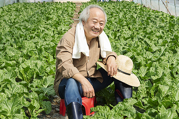 포토 JPG 주간 응시 노년 남자 밭 휴식 실내 한명 미소 앉기 상반신 옆모습 수건 농사 한국인 가을 농촌 농부 근대 밀짚모자 귀농 70대 비닐하우스 전원생활 플라스틱의자 노인남자한명만 국내포토 여주시 자연요소 직업 모자_잡화 1 시선 계절 뷰포인트 컨셉 농업 채소 의자 모션 표정 사람 동양인 성인 내부 생활 위생용품 시골 경기도 남자한명만 노인남자만 파일형식