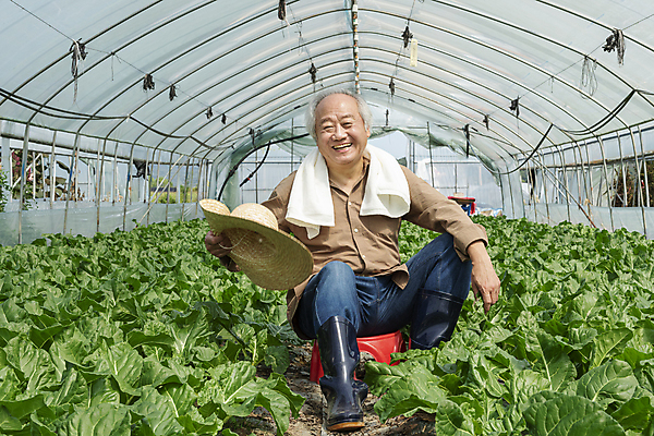 포토 JPG 주간 전신 응시 노년 남자 밭 휴식 실내 한명 미소 들기 앉기 앞모습 수건 농사 한국인 가을 농촌 농부 근대 밀짚모자 귀농 70대 비닐하우스 전원생활 플라스틱의자 노인남자한명만 국내포토 여주시 자연요소 직업 모자_잡화 1 시선 계절 뷰포인트 컨셉 농업 채소 의자 모션 표정 사람 동양인 성인 내부 생활 위생용품 시골 경기도 남자한명만 노인남자만 파일형식