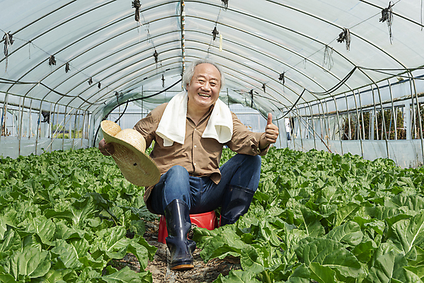 포토 JPG 주간 전신 응시 노년 남자 밭 휴식 실내 한명 미소 들기 앉기 앞모습 수건 농사 한국인 가을 농촌 최고 농부 근대 밀짚모자 귀농 70대 따봉 비닐하우스 전원생활 플라스틱의자 노인남자한명만 국내포토 여주시 자연요소 직업 모자_잡화 1 시선 계절 뷰포인트 컨셉 농업 채소 의자 모션 표정 사람 동양인 성인 내부 생활 위생용품 시골 경기도 남자한명만 노인남자만 파일형식