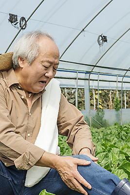 포토 JPG 주간 노년 남자 밭 실내 건강 한명 상반신 옆모습 수건 한국인 가을 농촌 찡그림 농부 근대 귀농 70대 비닐하우스 전원생활 감싸기 무릎통증 노인남자한명만 국내포토 여주시 자연요소 직업 1 계절 뷰포인트 농업 채소 모션 표정 사람 동양인 성인 내부 생활 위생용품 고통 시골 경기도 남자한명만 노인남자만 파일형식