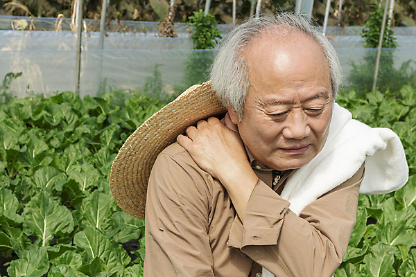 포토 JPG 주간 노년 남자 밭 실내 한명 상반신 앞모습 수건 한국인 가을 농촌 잡기 찡그림 농부 근대 밀짚모자 귀농 70대 비닐하우스 전원생활 어깨통증 노인남자한명만 국내포토 여주시 자연요소 직업 모자_잡화 1 계절 뷰포인트 농업 채소 모션 표정 사람 동양인 성인 내부 생활 위생용품 시골 질병 경기도 남자한명만 노인남자만 파일형식