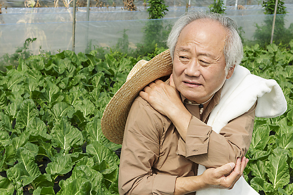 포토 JPG 주간 응시 노년 남자 밭 실내 한명 상반신 앞모습 수건 한국인 가을 농촌 잡기 찡그림 농부 근대 밀짚모자 귀농 70대 비닐하우스 전원생활 어깨통증 노인남자한명만 국내포토 여주시 자연요소 직업 모자_잡화 1 시선 계절 뷰포인트 농업 채소 모션 표정 사람 동양인 성인 내부 생활 위생용품 시골 질병 경기도 남자한명만 노인남자만 파일형식