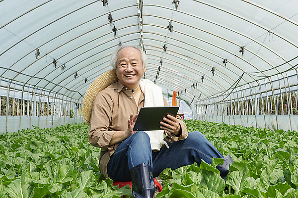 포토 JPG 주간 응시 노년 남자 밭 실내 관리 한명 미소 들기 앉기 상반신 앞모습 수건 태블릿 농사 한국인 가을 농촌 농부 근대 밀짚모자 귀농 70대 비닐하우스 전원생활 노인남자한명만 스마트팜 국내포토 여주시 자연요소 직업 모자_잡화 1 시선 계절 뷰포인트 농업 채소 모션 표정 사람 동양인 성인 내부 생활 전자제품 스마트기기 위생용품 농장 시골 경기도 남자한명만 노인남자만 파일형식