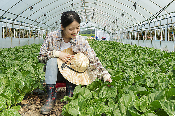포토 JPG 주간 전신 응시 여자 밭 실내 한명 미소 앉기 20대 성인 앞모습 농사 만지기 한국인 가을 농촌 농부 근대 확인 만족 밀짚모자 귀농 비닐하우스 전원생활 성인여자한명만 국내포토 여주시 자연요소 직업 모자_잡화 1 시선 계절 감정 뷰포인트 농업 채소 모션 표정 사람 동양인 청년 내부 생활 시골 경기도 여자한명만 성인여자만 파일형식
