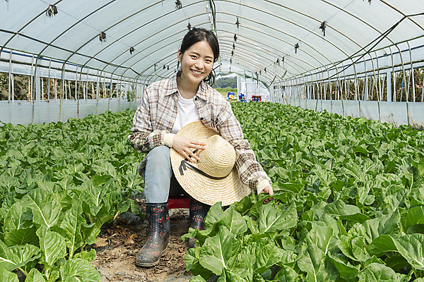 포토 JPG 주간 전신 응시 여자 밭 실내 한명 미소 앉기 20대 성인 앞모습 농사 만지기 한국인 가을 농촌 농부 근대 만족 밀짚모자 귀농 비닐하우스 전원생활 성인여자한명만 국내포토 여주시 자연요소 직업 모자_잡화 1 시선 계절 감정 뷰포인트 농업 채소 모션 표정 사람 동양인 청년 내부 생활 시골 경기도 여자한명만 성인여자만 파일형식
