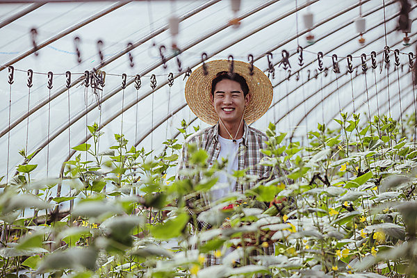 포토 JPG 주간 남자 실내 한명 미소 들기 상반신 20대 성인 앞모습 농사 한국인 가을 농촌 농부 밀짚모자 귀농 비닐하우스 전원생활 오이밭 성인남자한명만 국내포토 여주시 자연요소 직업 모자_잡화 1 계절 뷰포인트 밭 농업 모션 표정 사람 동양인 청년 내부 생활 시골 경기도 남자한명만 성인남자만 파일형식