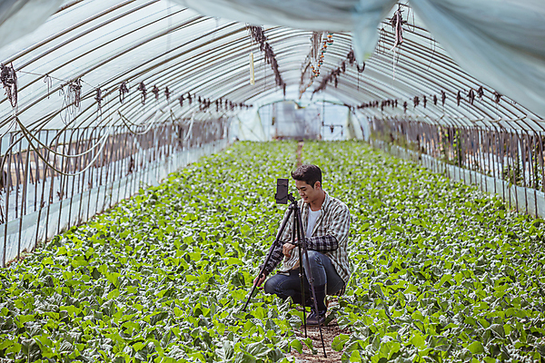 포토 JPG 주간 전신 응시 남자 밭 실내 한명 미소 20대 성인 옆모습 농사 한국인 가을 농촌 농부 근대 귀농 비닐하우스 삼각대 전원생활 웅크림 성인남자한명만 인터넷방송 크리에이터 1인미디어 유튜버 숍스트리밍 라이브커머스 국내포토 여주시 자연요소 직업 1 시선 계절 뷰포인트 농업 채소 모션 표정 사람 동양인 청년 내부 생활 쇼핑 시골 방송 모바일쇼핑 경기도 남자한명만 성인남자만 파일형식