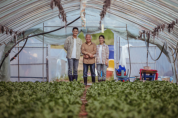 포토 JPG 주간 전신 응시 여자 노년 남자 밭 실내 서기 미소 20대 성인 앞모습 세명 한국인 가을 농촌 농부 근대 뒷짐 귀농 70대 비닐하우스 전원생활 국내포토 여주시 자연요소 직업 시선 계절 뷰포인트 농업 채소 모션 표정 사람 동양인 청년 내부 생활 시골 경기도 파일형식