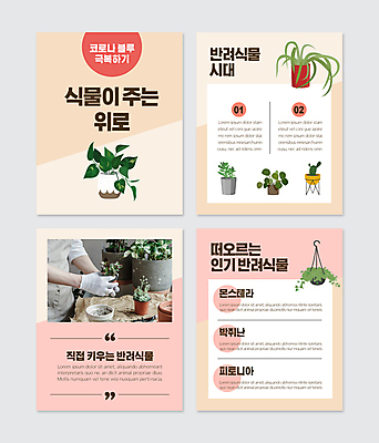 PSD 식물 템플릿 남자 화분 분홍색 웹템플릿 한명 들기 상반신 성인 30대 앞치마 한국인 원예 몬스테라 분갈이 식물키우기 피토니아 성인남자한명만 카드뉴스 코로나바이러스 코로나블루 반려식물 이미지템플릿 1 컬러 모션 사람 동양인 취미 장년 바이러스 신조어 남자한명만 성인남자만 파일형식