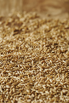 포토 JPG 스튜디오촬영 실내 근접촬영 사람없음 아웃포커스 신선 건강식 귀리 나무배경 국내포토 음식 뷰포인트 백그라운드 곡류 촬영기법 내부 파일형식