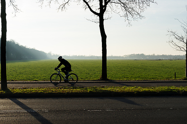 포토 JPG 해외이미지 나무 라이프스타일 공원 실루엣 도로 스포츠 여행 백그라운드 밭 회사 자연 벽지 하늘 아침 건강 사람 초원 성인 사람없음 야외 빛 운동 햇빛 태양 뷰티 일출 자전거 자유 안개 레이싱 바퀴 승차 동료 속도 순환 주말 바이킹 해외포토 주간 자연요소 식물 공공시설 길 컨셉 농업 비즈니스 관계 교통시설 모션 날씨 촬영기법 시합 생활 노을 바이크 생태계 파일형식 이미지허브