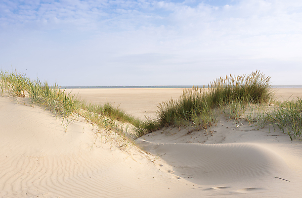 포토 JPG 해외이미지 유럽 길 모래 바다 섬 여행 백그라운드 자연 하늘 휴가 휴식 파노라마 풍경 사람없음 야외 물 여름 파란색 햇빛 태양 일출 맑음 일몰 흰색 저녁 모래언덕 네덜란드 북쪽 내추럴 수평선 해외포토 자연요소 계절 나라 컬러 컨셉 날씨 촬영기법 노을 야간 방향 언덕 생태계 파일형식 이미지허브