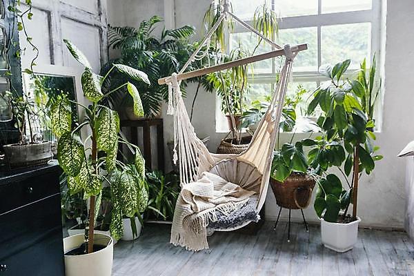 포토 JPG 해외이미지 꽃 산업 가구 거실 과일 바닥 주택 사람없음 내부 목재 장식 책 인테리어 세트 유행 주방 식당 방 신선 업무 사과 디자이너 수집 레몬 양동이 쇼 페인트붓 콘도 모음 공평 밀라노 업그레이드 프로젝트 파케트 해외포토 나무 식물 직업 디자인 생활용품 재료 숙소 건물 상점 이탈리아 붓 작업 파일형식 이미지허브