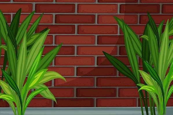 EPS 해외이미지 나무 식물 템플릿 벽 백그라운드 2 일러스트 벽돌 실내 울타리 무대 만화 양치류 평야 카피스페이스 해외일러스트 자연 내부 담장 공백 파일형식 벡터 이미지허브