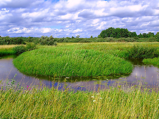 포토 JPG 해외이미지 나무 식물 계절 공원 호수 여행 백그라운드 잎 밭 자연 하늘 아침 사람없음 야외 초록색 물 파란색 강 컬러풀 반사 평화 환경 침묵 봄 나뭇가지 작음 허브 러시아 찢어짐 생태학 해외포토 주간 자연요소 공공시설 교육 유럽 컬러 컨셉 농업 모션 소리 크기 생태계 파일형식 이미지허브
