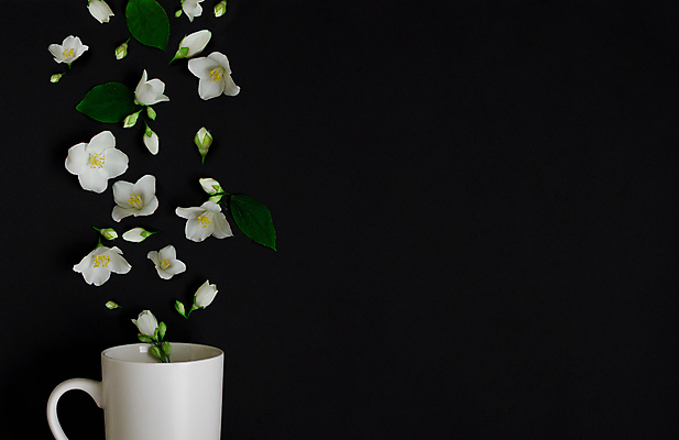 포토 JPG 해외이미지 식물 꽃잎 꽃 음료 잎 꽃무늬 자연 검은배경 티타임 건강 사람없음 초록색 쌓기 봄 벚꽃 흰색 신선 닫기 녹차 허브 흰배경 고립 카피스페이스 맛있는 해외포토 계절 컬러 백그라운드 무늬 모션 휴식 차_음료 검은색 공백 생태계 파일형식 이미지허브