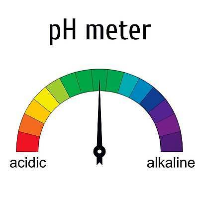 EPS 해외이미지 교육 종이 음식 조각 과학 백그라운드 다이어트 일러스트 텍스트 탁자 건강 실험 물 숫자 약 흙 실험실 지시 집중 분석 측정 눈금 비누 가치 해결 계량기 기본 신맛 제어 화학물질 해외일러스트 자연요소 문자 가구 컨셉 의학 모션 위생용품 화학 맛 파일형식 벡터 이미지허브