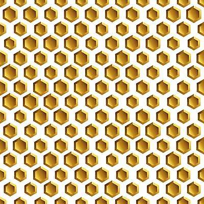 EPS 해외이미지 모양 템플릿 디자인 음식 백그라운드 패턴 오렌지 일러스트 벽지 추상 세포 건강 미술 그래픽 여름 빛 노란색 덮개 흰색 직물 머리빗 황금 달콤 인쇄 벌 심볼 질감 모자이크 육각형 마법 꿀 기하학 벌집 내추럴 엘리먼트 스타일 효과 해외일러스트 도형 계절 컬러 곤충 무늬 과일 문화예술 뚜껑 미용용품 맛 파일형식 벡터 이미지허브