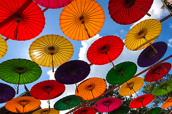 포토 JPG 해외이미지 줄 컨셉 패턴 우산 비즈니스 잉글랜드 거리 손잡이 미술 사람 풍경 사람없음 야외 건물 장식 여름 파란색 쇼핑 컬러풀 태양 노란색 목욕 도시 그룹 센터 보호 옛날 해외포토 자연요소 건축물 계절 컬러 무늬 문화예술 영국 청결 파일형식 이미지허브