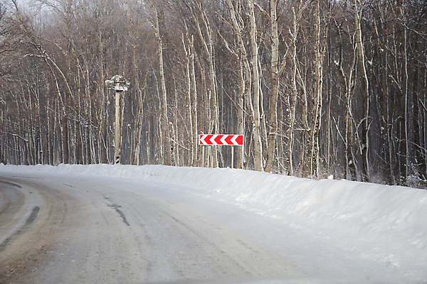 포토 JPG 해외이미지 나무 길 겨울 자연 사람없음 야외 눈 표지판 숲 가로수 해외포토 자연요소 식물 계절 날씨 알림판 생태계 파일형식 이미지허브