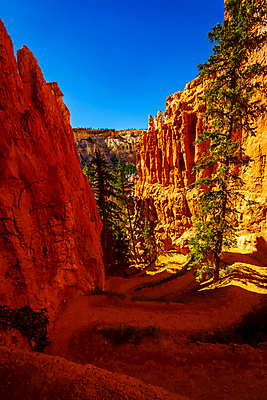 포토 JPG 해외이미지 북아메리카 자연 풍경 사람없음 야외 여름 컬러풀 미국 암석 랜드마크 명승지 카피스페이스 해외포토 계절 컬러 아메리카 공백 돌_바위 생태계 파일형식 이미지허브