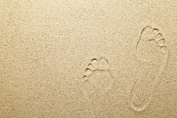 포토 JPG 해외이미지 모래 바다 백그라운드 패턴 자연 벽지 표면 휴가 사람없음 야외 여름 빛 모래사장 우주 산책 사막 황금 인쇄 발자국 모래언덕 묘사 흔적 질감 내추럴 양발 카피스페이스 해외포토 계절 무늬 자국 휴식 공백 언덕 생태계 파일형식 이미지허브