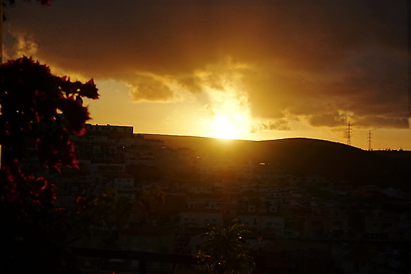 포토 JPG 해외이미지 식물 꽃 여행 자연 하늘 날씨 휴가 산 사람없음 빛 태양 평화 일출 정원 꿈 스페인 마법 천국 해외포토 자연요소 유럽 컨셉 노을 생태계 파일형식 이미지허브