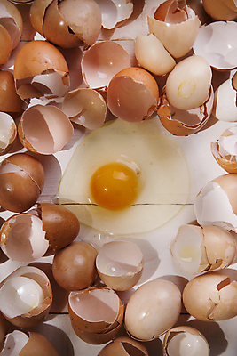 포토 JPG 해외이미지 실내 사람없음 계란 계란껍데기 날계란 나무배경 해외포토 백그라운드 내부 알 파일형식 이미지허브