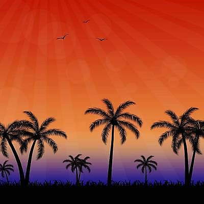 EPS 해외이미지 나무 디자인 계절 실루엣 바다 섬 여행 백그라운드 잎 오렌지 일러스트 자연 하늘 휴가 손바닥 물 야자수 햇빛 태양 노란색 파티 일출 맑음 일몰 야간 저녁 이국적 파라다이스 수평선 해외일러스트 자연요소 식물 손 컬러 과일 날씨 촬영기법 이벤트 노을 생태계 파일형식 벡터 이미지허브