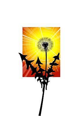 EPS 해외이미지 식물 디자인 계절 꽃 실루엣 백그라운드 잎 꽃무늬 패턴 일러스트 자연 아침 추상 옥수수 미술 풍경 잔디 초원 그래픽 장식 초록색 여름 농장 농경지 환경 봄 가을 시골 거친 이슬 민들레 땅 클립 심플 내추럴 땅바닥 해외일러스트 주간 컬러 무늬 농업 문화예술 곡류 바닥 촬영기법 생태계 파일형식 벡터 이미지허브