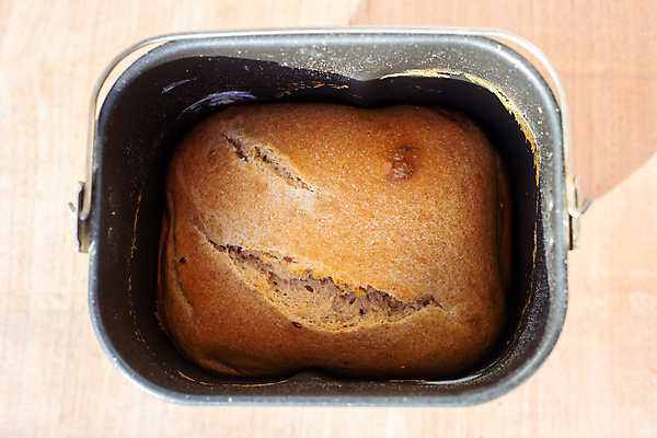 포토 JPG 해외이미지 음식 빵 가정 주택 사람없음 주방 기계 빵집 시골 신선 뜨거움 상품 혼합 밀 굽기 양동이 만들기 레시피 덩어리 자동 탄수화물 핸드메이드 홈메이드 해외포토 모션 곡류 건물 상점 구이 파일형식 이미지허브