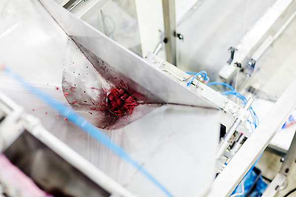 포토 JPG 해외이미지 공장 사람없음 냉동 기계 제조 산딸기 식품공장 냉동식품 해외포토 음식 과일 공업 파일형식 이미지허브