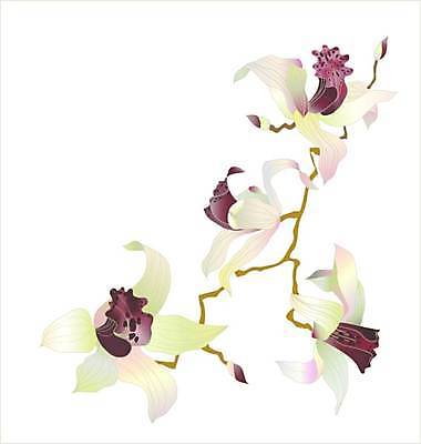 EPS 해외이미지 식물 디자인 계절 꽃 야생동물 백그라운드 꽃무늬 패턴 일러스트 자연 추상 프레임 장식 컬러풀 정원 흰색 나뭇가지 신용카드 그리기 난초 생물학 고립 스타일 효과 해외일러스트 나무 동물 교육 컬러 무늬 모션 금융 생태계 파일형식 벡터 이미지허브