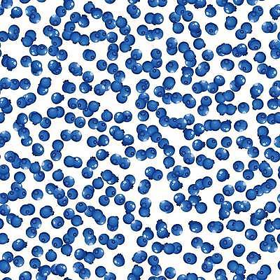 EPS 해외이미지 모양 디자인 배너 열매 종이 백그라운드 패턴 과일 일러스트 재료 벽지 추상 건강 미술 그래픽 장식 여름 파란색 컬러풀 검은색 흰색 직물 신선 점 원형 신용카드 달콤 맛 숲 스케치 천 그림 유기농 블루베리 블랙베리 내추럴 숙성 채식주의자 반복 해외일러스트 도형 식물 웰빙 계절 컬러 컨셉 무늬 문화예술 금융 채식 파일형식 벡터 이미지허브