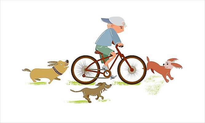 EPS 해외이미지 동물 캐릭터 행복 어린이 포즈 일러스트 장난 놀이 미소 소년 반려동물 달리기 자전거 우정 게임 흰색 바퀴 닫기 개 강아지 승차 만화 속도 고립 바이킹 해외일러스트 일러캐릭터 남자 감정 컬러 포유류 모션 표정 사람 친구 바이크 파일형식 벡터 이미지허브