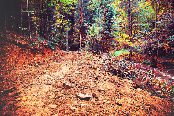 포토 JPG 해외이미지 나무 식물 계절 공원 백그라운드 단풍 잎 패턴 오렌지 자연 호박 풍경 사람없음 야외 목재 빨간색 초록색 빛 컬러풀 햇빛 태양 노란색 환경 정원 맑음 활발 할로윈 가을 변화 황금 떨어짐 숲 9월 11월 보케 장면 추수감사절 10월 내추럴 해외포토 자연요소 공공시설 기독교 컬러 컨셉 무늬 채소 과일 재료 날씨 날짜 생태계 파일형식 이미지허브