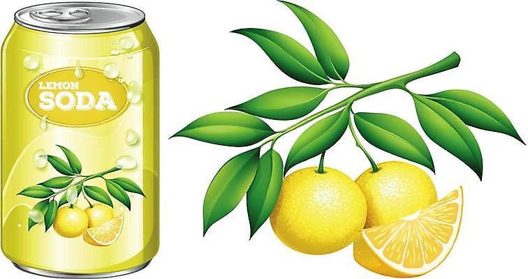 EPS 해외이미지 음료 잎 일러스트 단면 사람없음 노란색 캔 레몬 레모네이드 해외일러스트 식물 컬러 과일 에이드 파일형식 벡터 이미지허브
