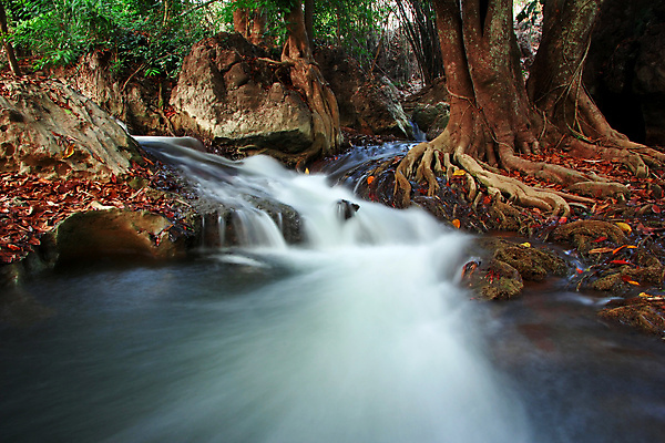 포토 JPG 해외이미지 나무 계절 공원 여행 백그라운드 잎 모션 태국 자연 사람없음 야외 빨간색 초록색 물 빛 강 햇빛 평화 환경 봄 폭포 젖음 흐름 신선 개울 보호 숲 장면 암초 내추럴 생태학 해외포토 자연요소 식물 공공시설 교육 아시아 컬러 컨셉 태양 생태계 파일형식 이미지허브