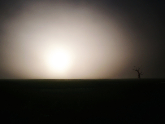 포토 JPG 해외이미지 나무 식물 계절 백그라운드 밭 자연 아침 추상 건조 풍경 경사 초원 사람없음 초록색 파란색 빛 햇빛 태양 노란색 검은색 어둠 일몰 새벽 회색 슬픔 가을 나뭇가지 고독 저녁 물개 심플 내추럴 블러 옛날 혼자 수평선 미니멀 해외포토 주간 자연요소 감정 컬러 무늬 농업 포유류 노을 바다동물 야간 생태계 파일형식 이미지허브