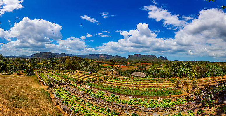 포토 JPG 해외이미지 구름 산업 북아메리카 농업 자연 하늘 산 풍경 사람없음 야외 가로 컬러풀 농장 계곡 쿠바 명승지 카피스페이스 해외포토 자연요소 컬러 아메리카 공백 중앙아메리카 생태계 파일형식 이미지허브